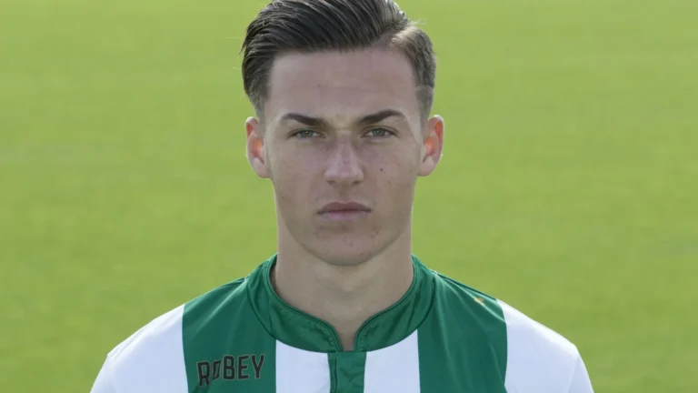 Ajdin Hrustic Biography