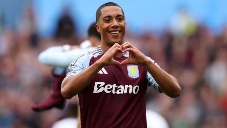 Youri Tielemans Biography