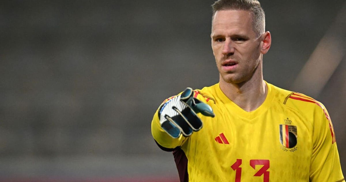 Matz Sels Biography
